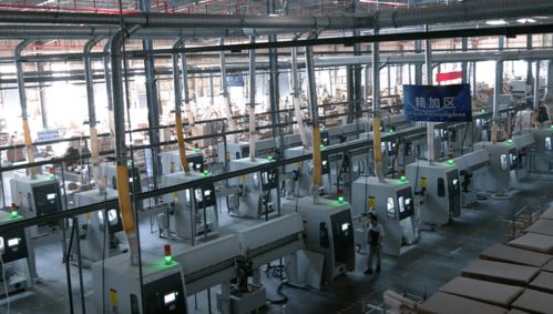 項目攻堅在行動 武平智慧工廠二期即將投入使用，5年內(nèi)預(yù)計產(chǎn)值突破13億元